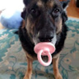 Meet your Posher, Jasmine